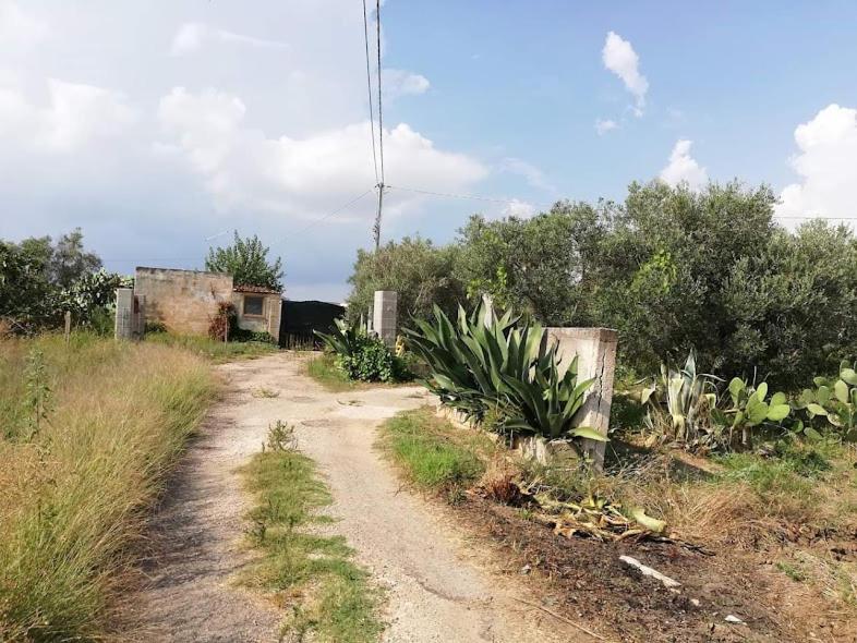 La Casa In Campagna Di Ottavia Alezio Kültér fotó
